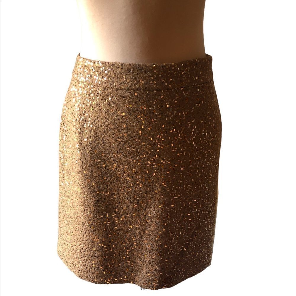 Ann Taylor LOFT Sequence Skirt
